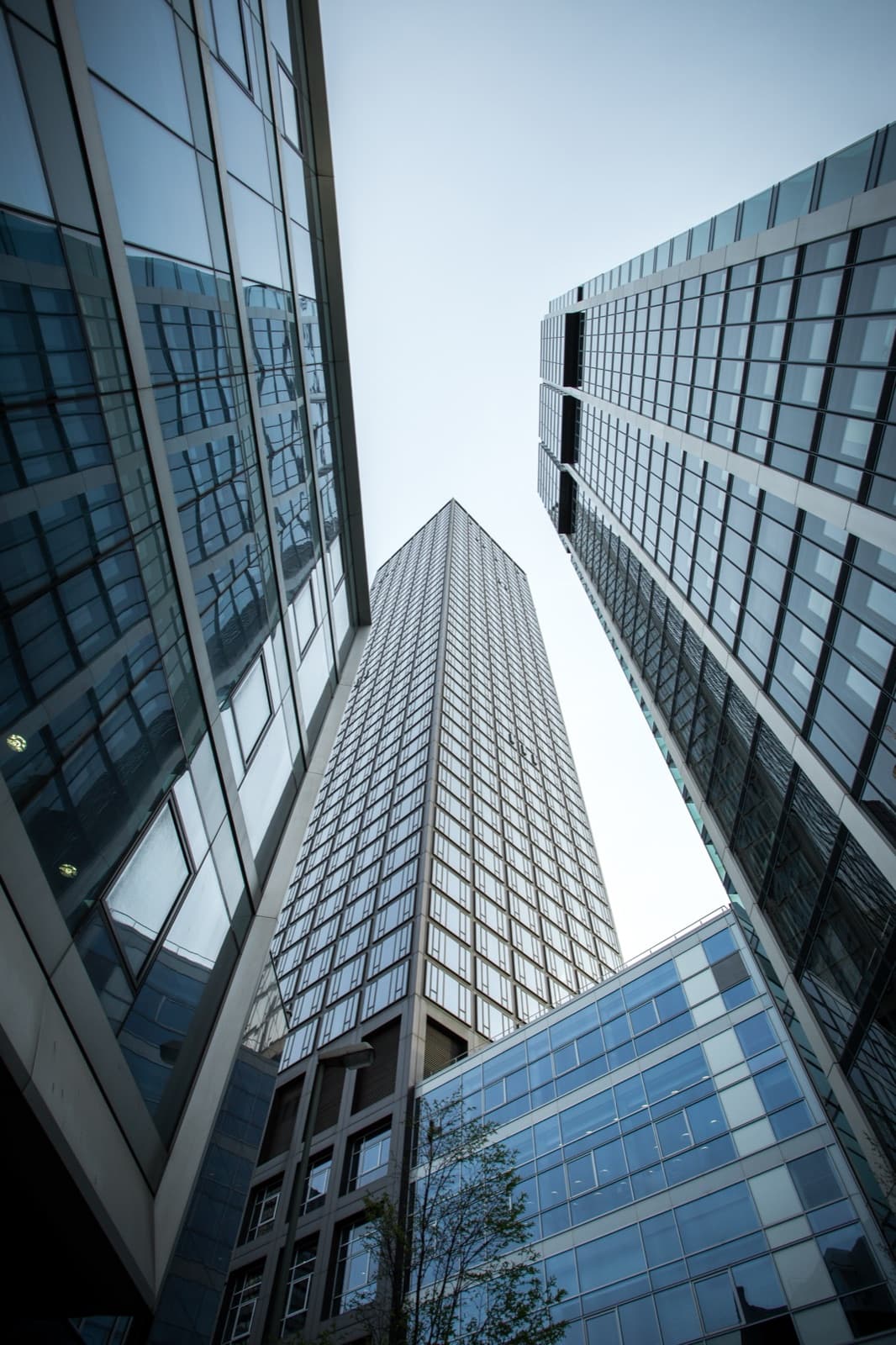 Empresas y oficinas